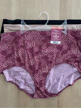 WARNERS Olga. 3 Pair Microfiber Brief Panties Womens Sz 3X (10). Brand New.